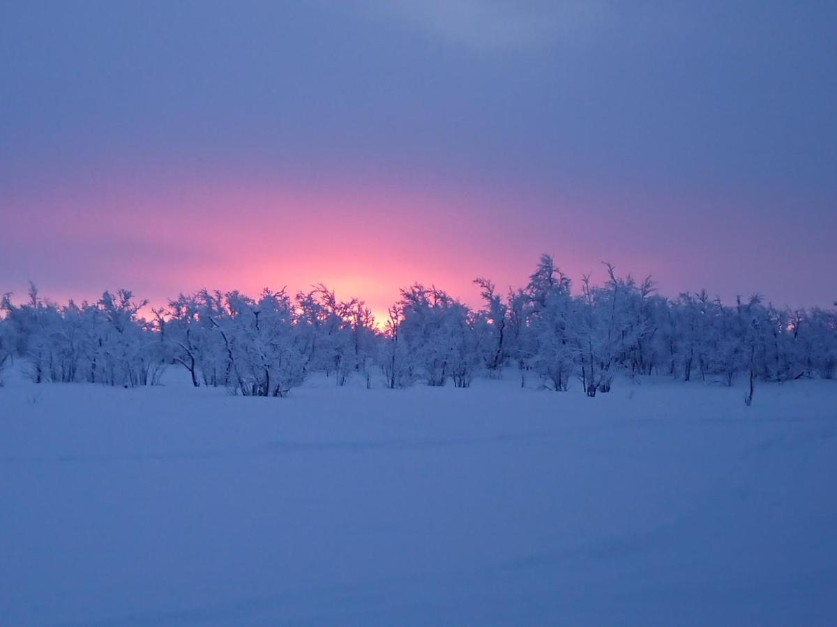 Mattarahkka Northern Light Lodge Kiruna Bagian luar foto